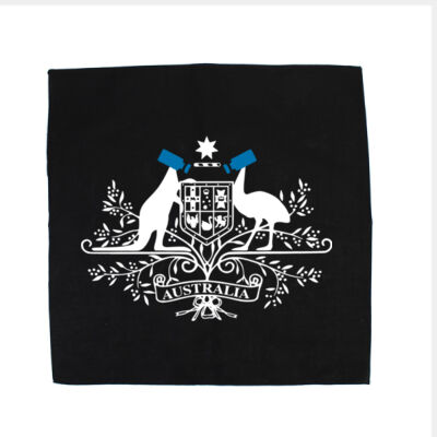 CCTV of Arms - Bandana's 54cm x 54cm Thumbnail